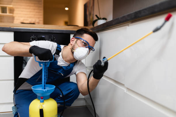 Best Best Pest Control Companies  in Bellwood, IL