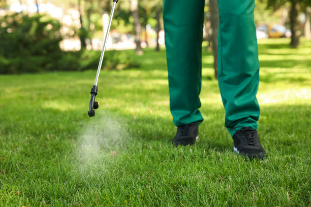 Best Rat Extermination Near Me  in Bellwood, IL