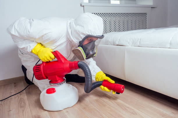 Best Pest Control for Businesses  in Bellwood, IL