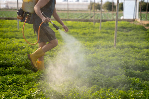 Best Best Pest Control Companies  in Bellwood, IL