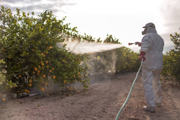 Bellwood, IL Pest Control Company