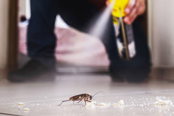Best Commercial Pest Control Services  in Bellwood, IL