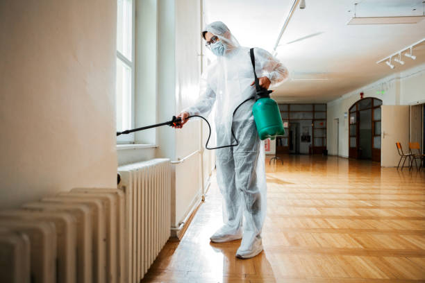 Best Flea Control Services  in Bellwood, IL